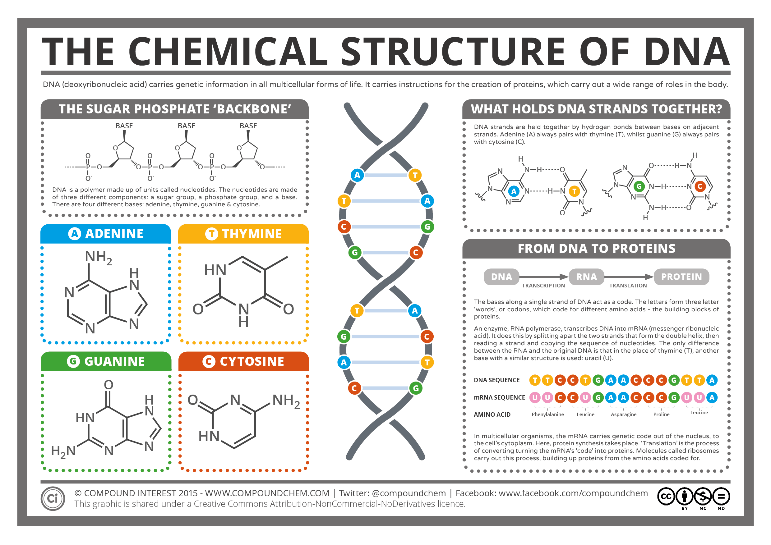 Chemical-structure-of-DNA